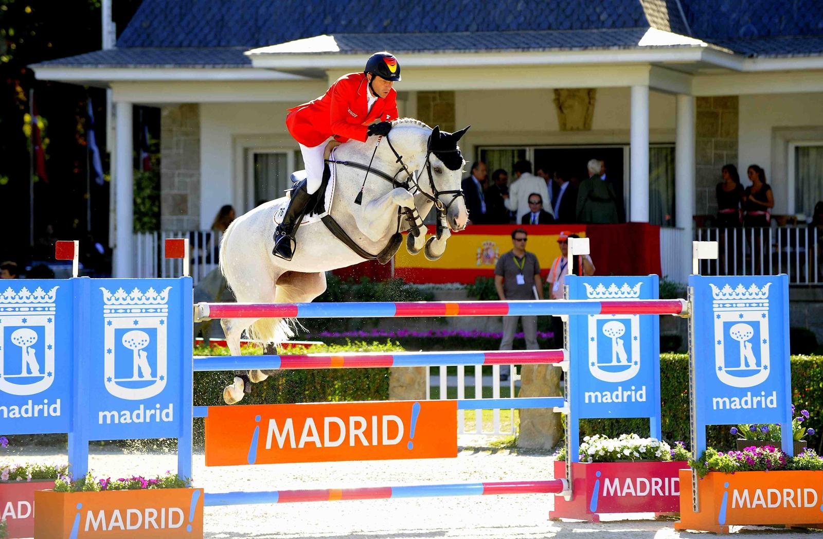 Koń Holsztyński © American Holsteiner Horse Association