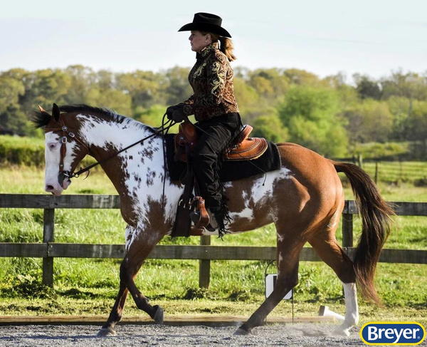 1810 Breyer Traditional Truly Unsurpassed