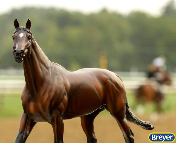 B-TR-10038 Cody's Wish