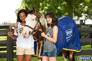 1810 Breyer Traditional Truly Unsurpassed