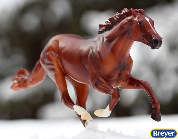 1345 Secretariat Breyer