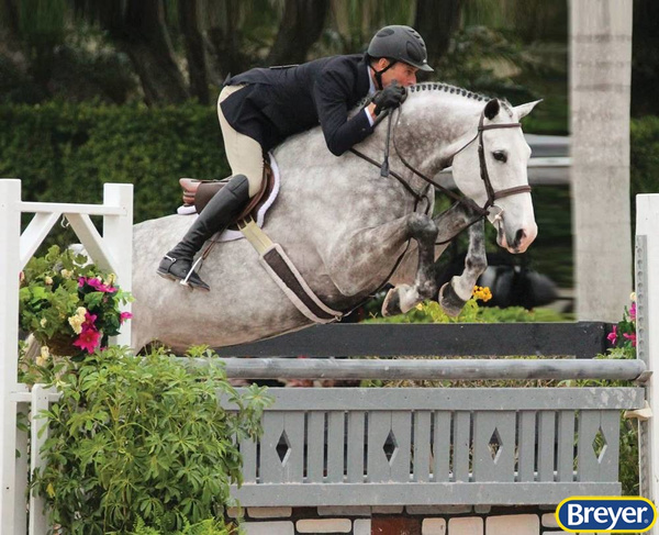 1806 Breyer Traditional Catch Me