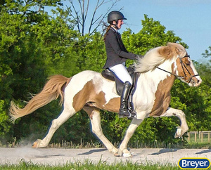 1844 Breyer Traditional Sporður frá Bergi