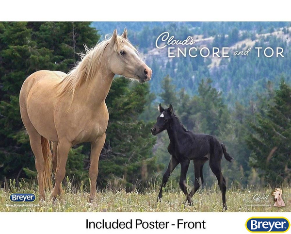 1840 Breyer Traditional Encore i Tor