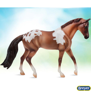 1053 Red Dun Pintaloosa