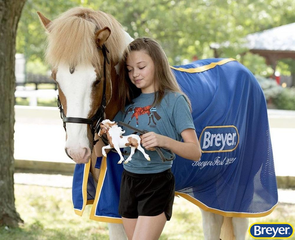 1844 Breyer Traditional Sporður frá Bergi