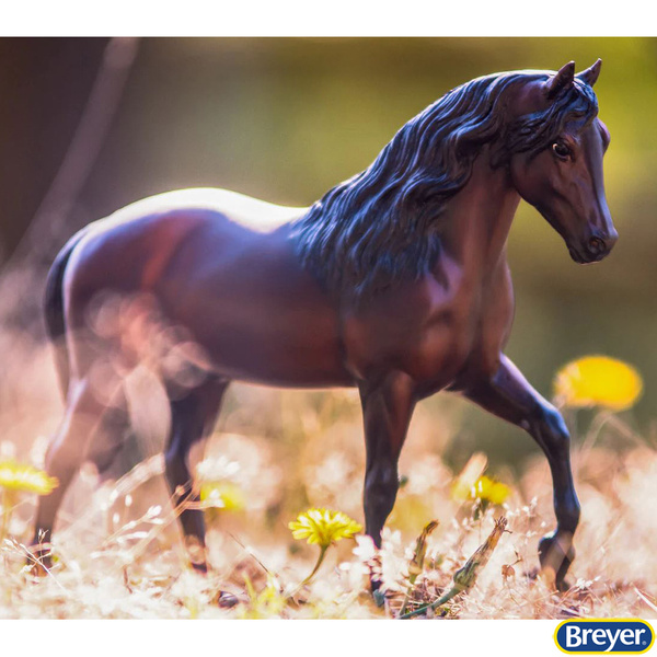 1860 Vivaldi de Besilu