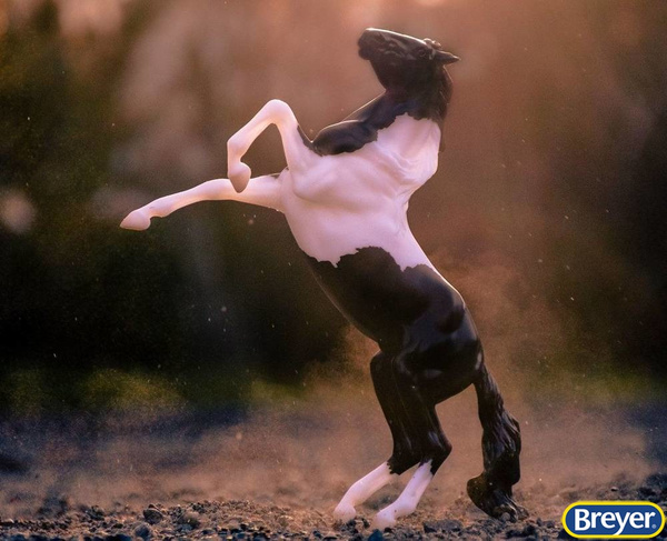 961 Breyer Classics Black Pinto Rearing Mustang