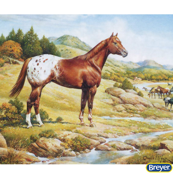 1868 Appaloosa