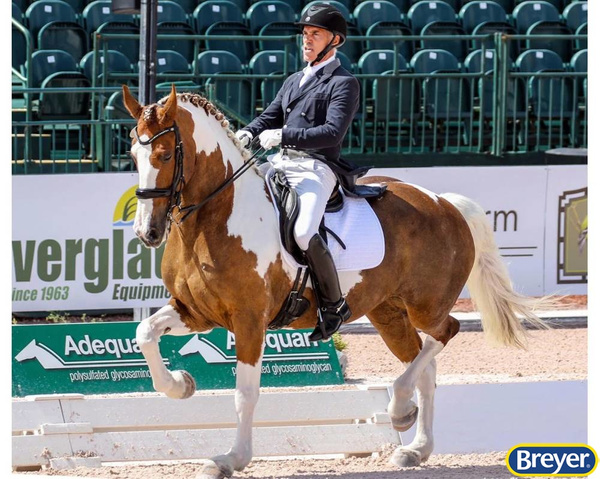 1830 Breyer Traditional Adiah HP