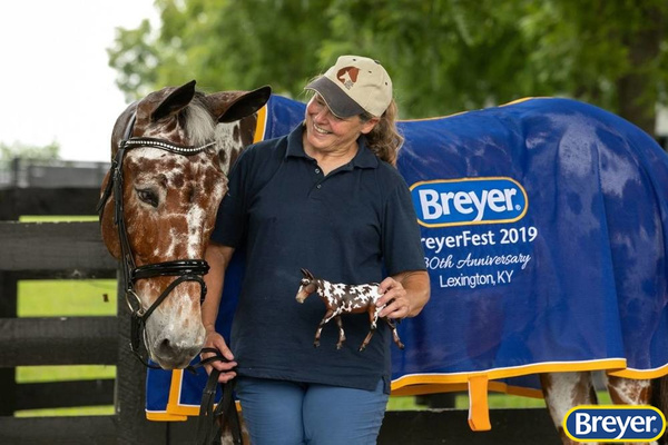 1816 Breyer Traditional Buckeye Dressage Mule Horse