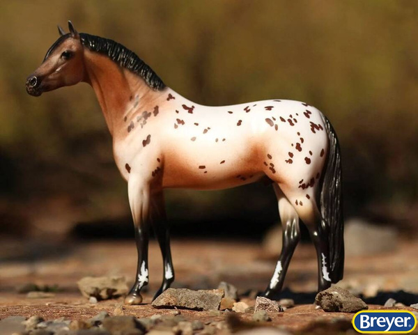 1883 The Ideal Series | Pony of the Americas