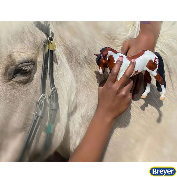 62123 Hope Limited Edition Model