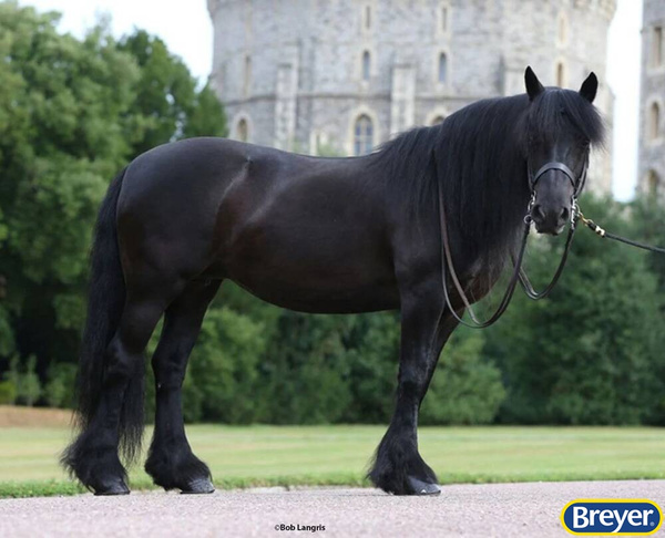 1880 Carltonlima Emma With Sash