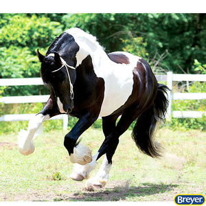 1865 Battlefield Angel HP