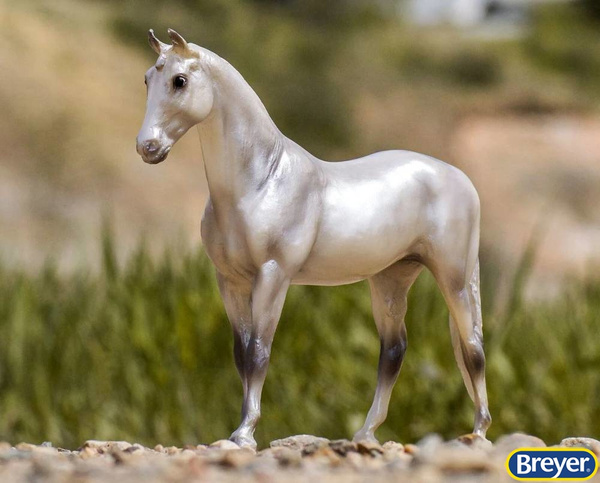 960 Breyer Classics Pearly Grey Trakehner