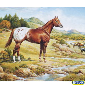 1868 Appaloosa