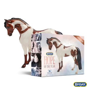 62123 Hope Limited Edition Model