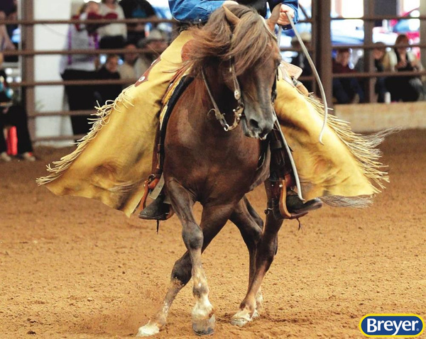 1856 Breyer Traditional Morgan Quest Native Sun