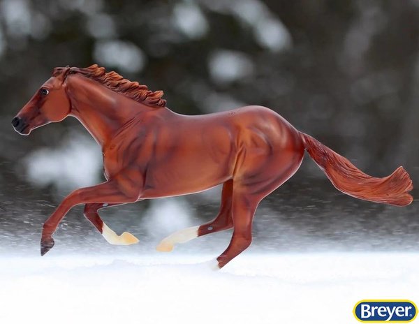 1345 Secretariat Breyer