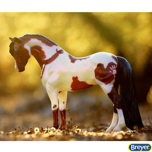 62123 Hope Limited Edition Model