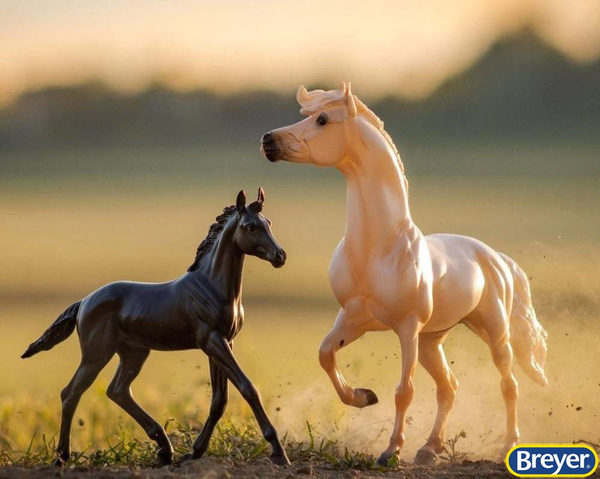 1840 Breyer Traditional Encore i Tor