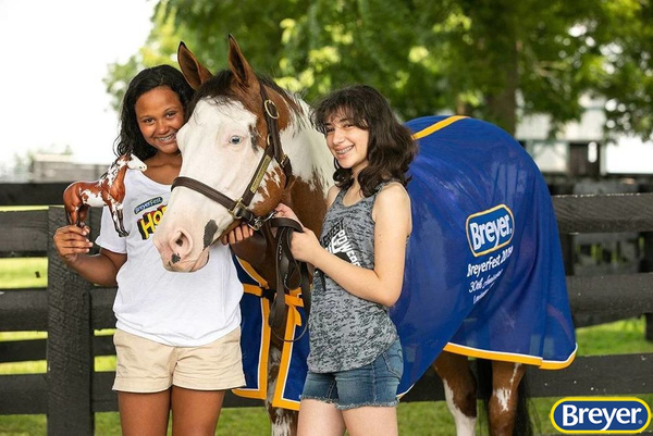 1810 Breyer Traditional Truly Unsurpassed