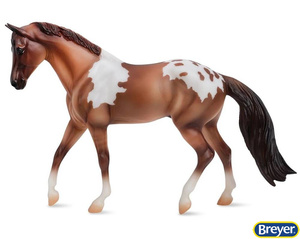 1053 Red Dun Pintaloosa