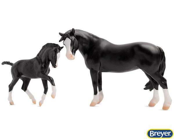 1857 Nistar Blazing Kansas & Ethel country