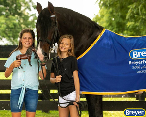 1809 Breyer Traditional Koń Dominante XXIV 