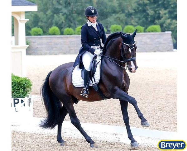 1809 Breyer Traditional Koń Dominante XXIV