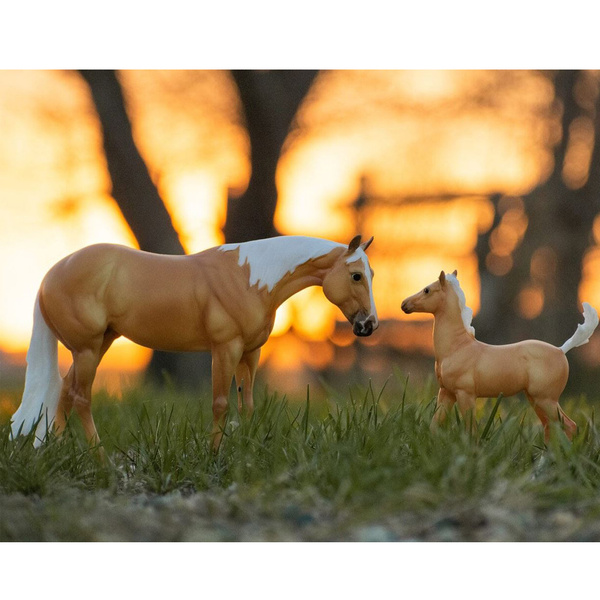 1872 Enoby Shines & Foal