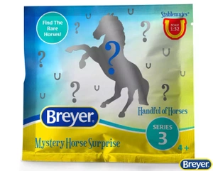 6221 SM Konik niespodzianka seria 3