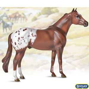 1868 Appaloosa