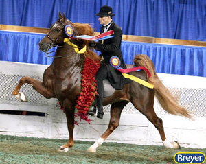 1847 Breyer Traditional Marc of Charm