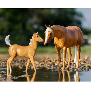 1872 Enoby Shines & Foal