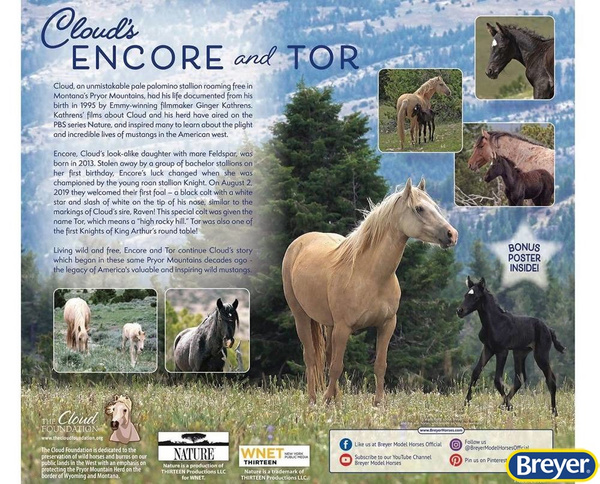 1840 Breyer Traditional Encore i Tor