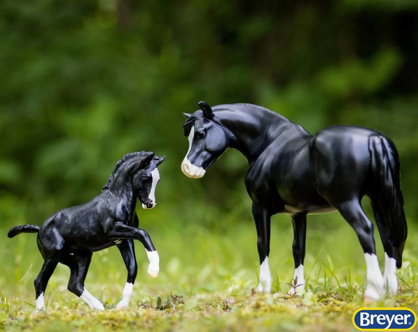 1857 Nistar Blazing Kansas & Ethel country