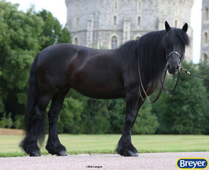 1880 Carltonlima Emma With Sash