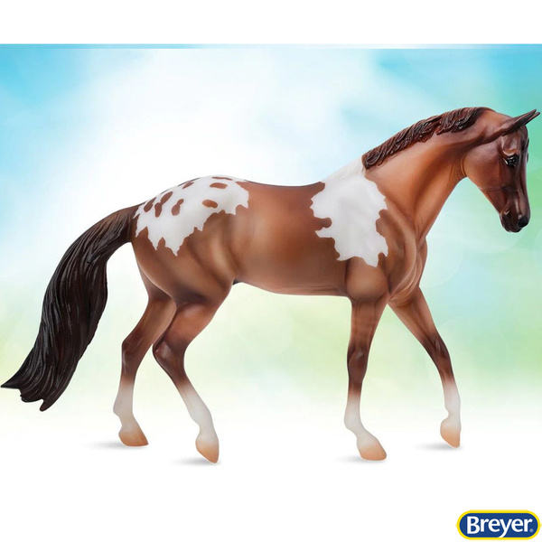 1053 Red Dun Pintaloosa