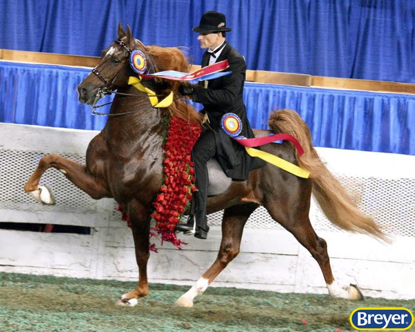 1847 Breyer Traditional Marc of Charm