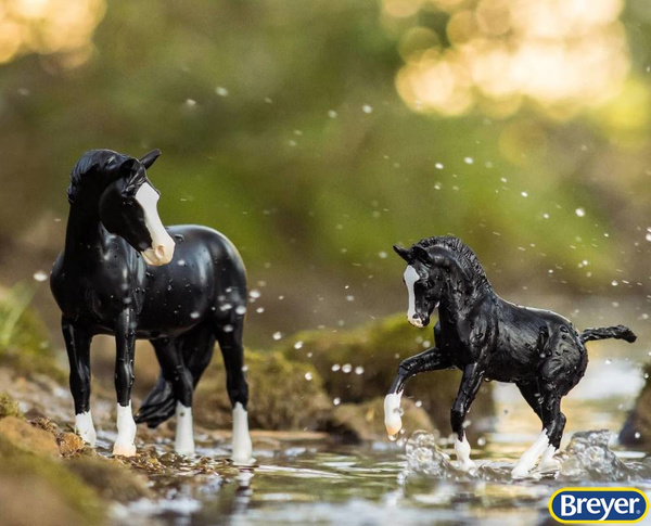 1857 Nistar Blazing Kansas & Ethel country