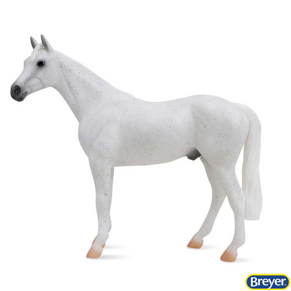 1054 Fleabitten Grey Thoroughbred