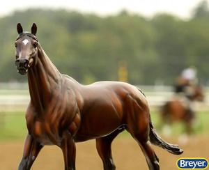 B-TR-10038 Cody's Wish