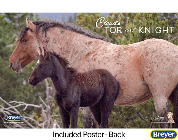 1840 Breyer Traditional Encore i Tor